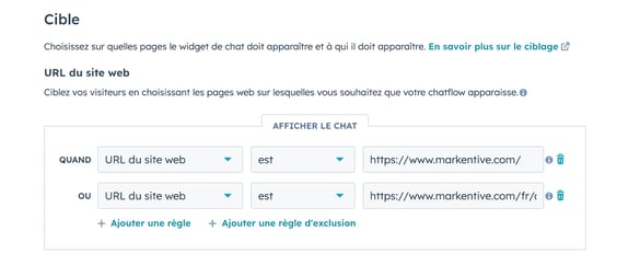 ciblage hubspot chatbot