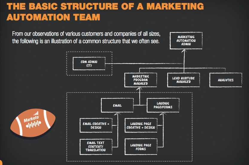 basic structure of a marketing automation team