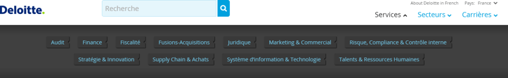 Content Marketing : Deloitte segmente son contenu par buyers persona