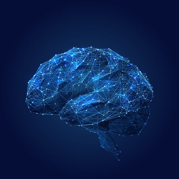 cerveau-marketing-digital