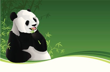 google-panda-4.0