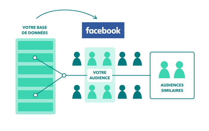 social-paid-audiences